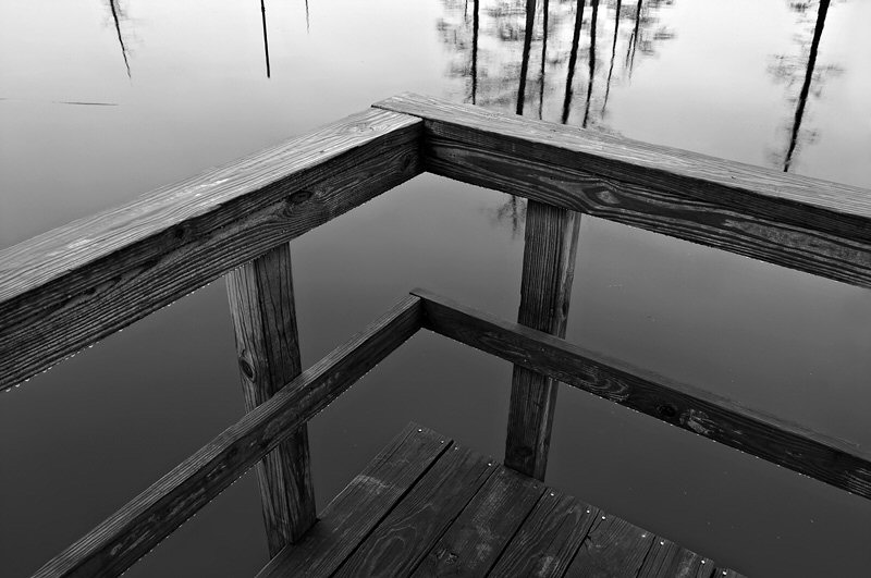 Jenny Ellerbe, Railing, Reflections