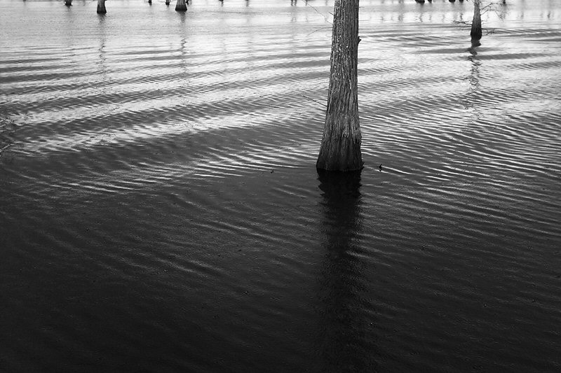 Jenny Ellerbe, Ripples, Waves