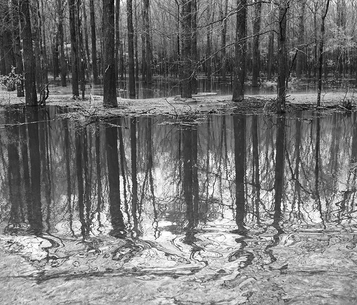 Jenny Ellerbe, Rising Water