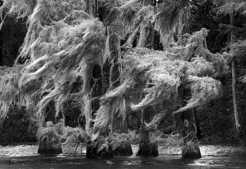 Jenny Ellerbe, Rita's Wind, Study 3