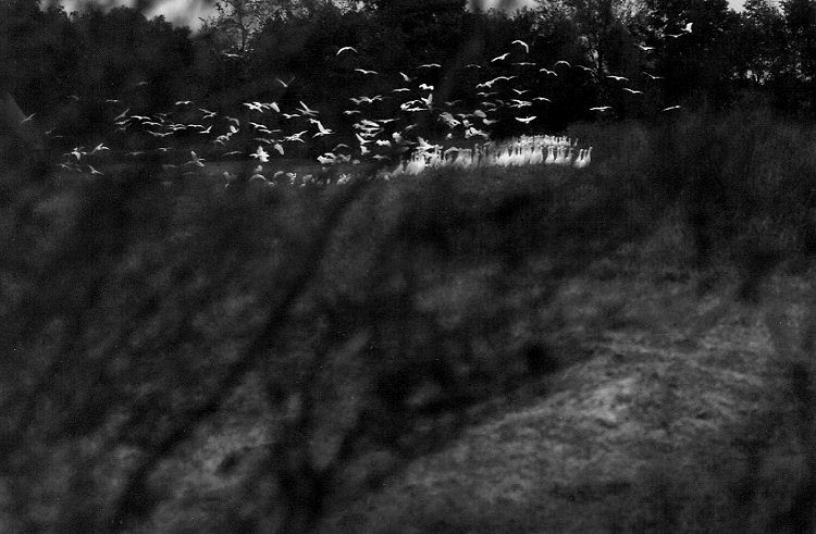 Jenny Ellerbe, Secret Hideout