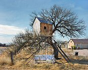 Terry Falke, Tree House, West Texas