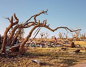 Terry Falke, Tornado Aftermath