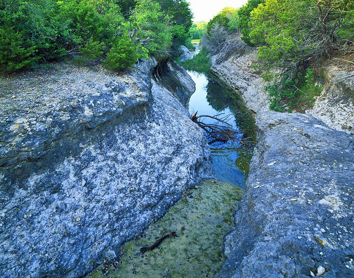 Charles Kruvand, Spring at Rock Creek | Afterimage Gallery