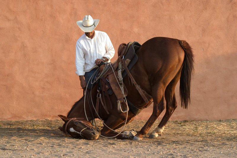 Craig Varjabedian, Sparrow and Her Cowboy Richard