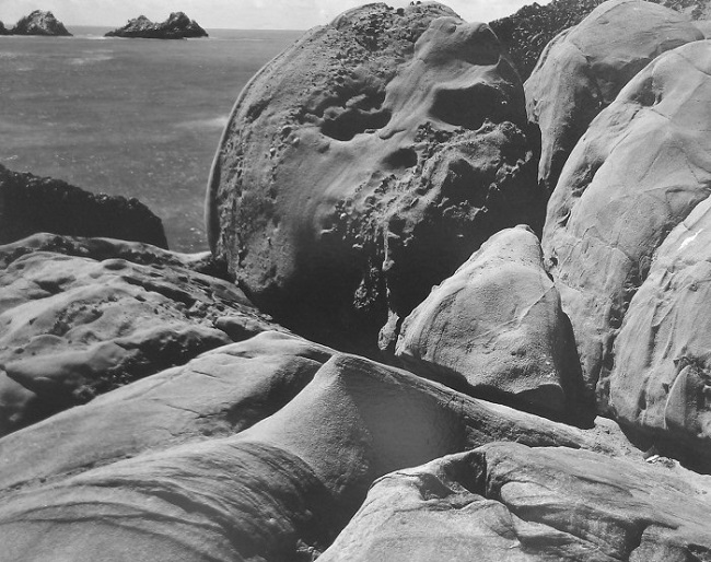 Edward Weston, Point Lobos